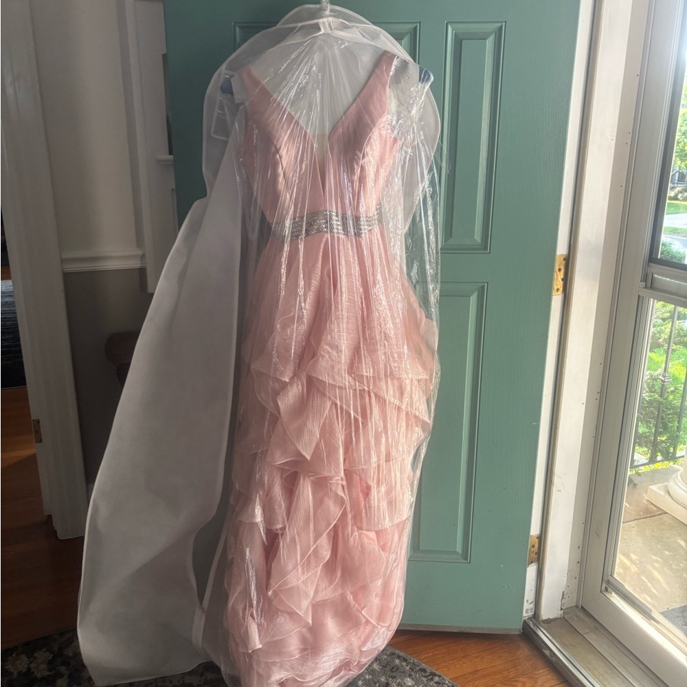 Tiffany Designs Pink V-Neck Long Sleeve Bridal Gown